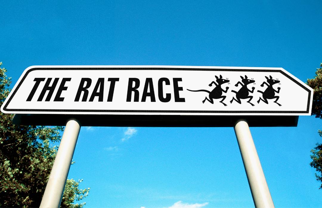 street sign that says, "the rat race" with image of three running rats